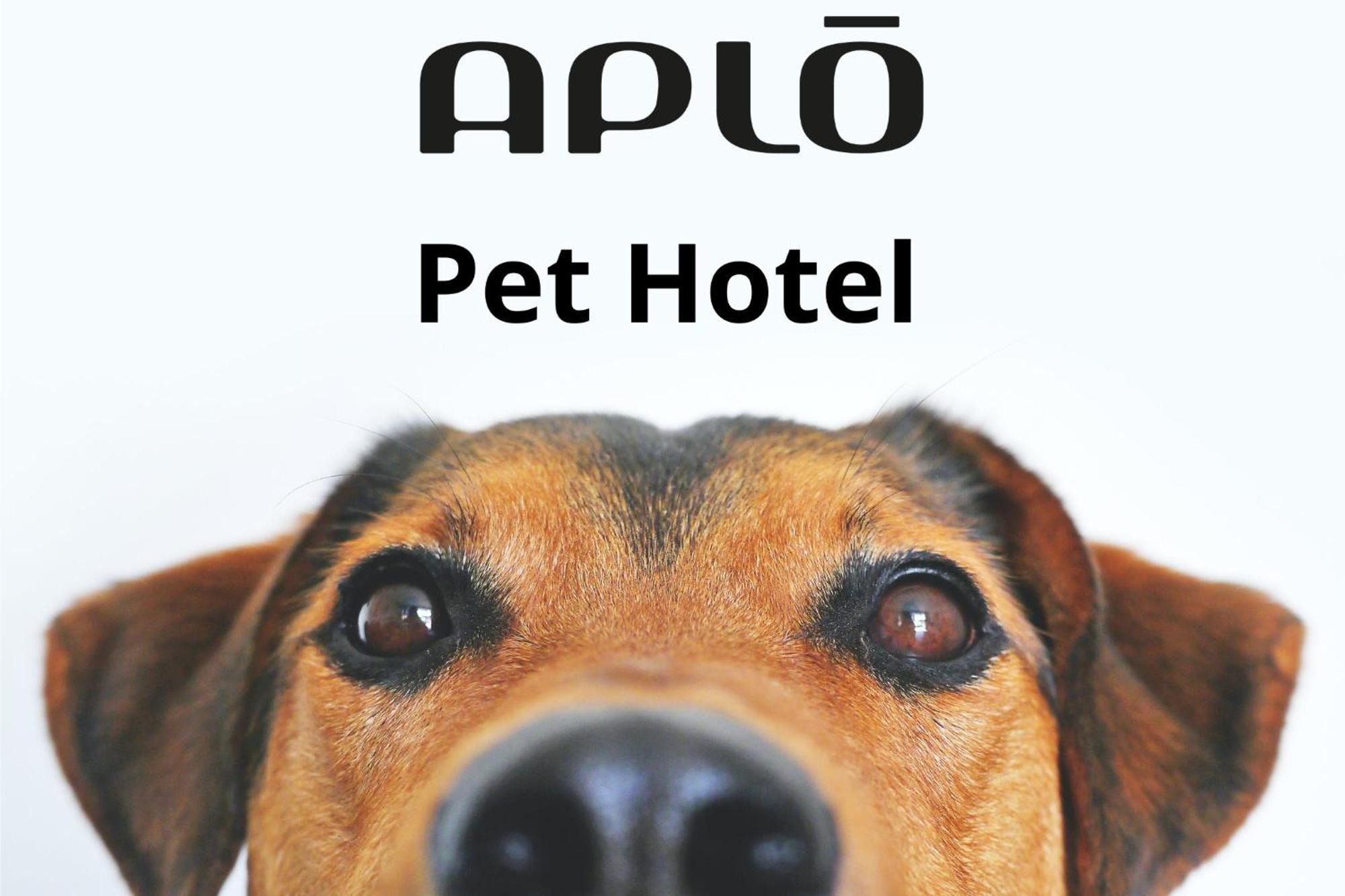 Hotel Aplo - Breakfast Experience Cervia Dış mekan fotoğraf